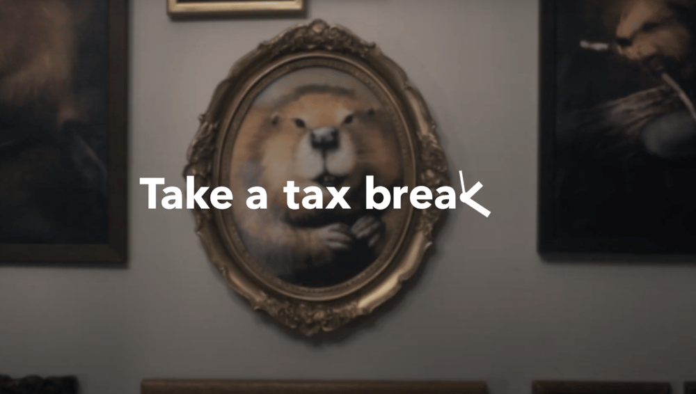 Turbo Tax Screenshot