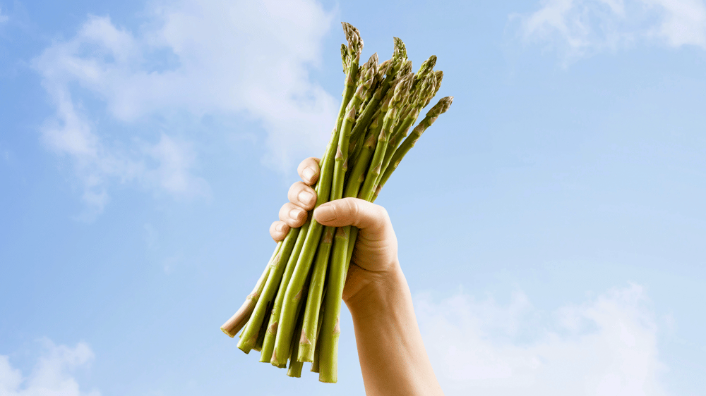 Metro Grenier 2560x1440 V2