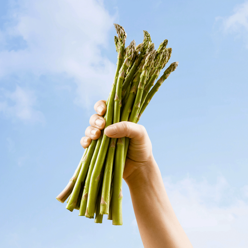 Metro Grenier 700x700