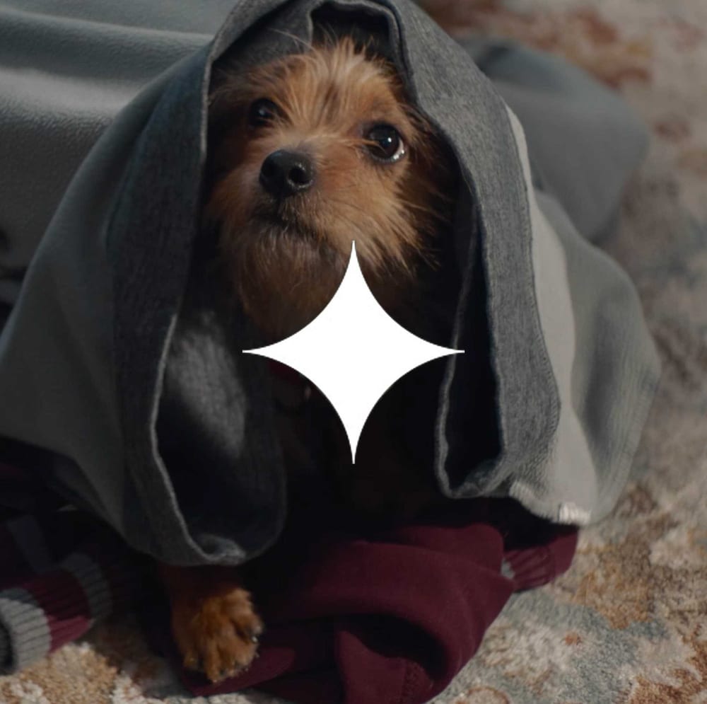 Google gemini thumbnail