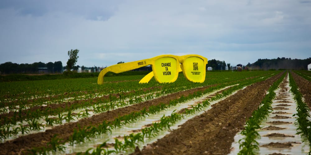 3 2 Amnesty x Cossette Agriculture 1400x700