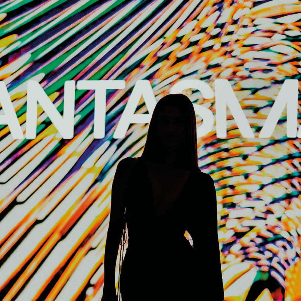 Fantasmagorie overview3