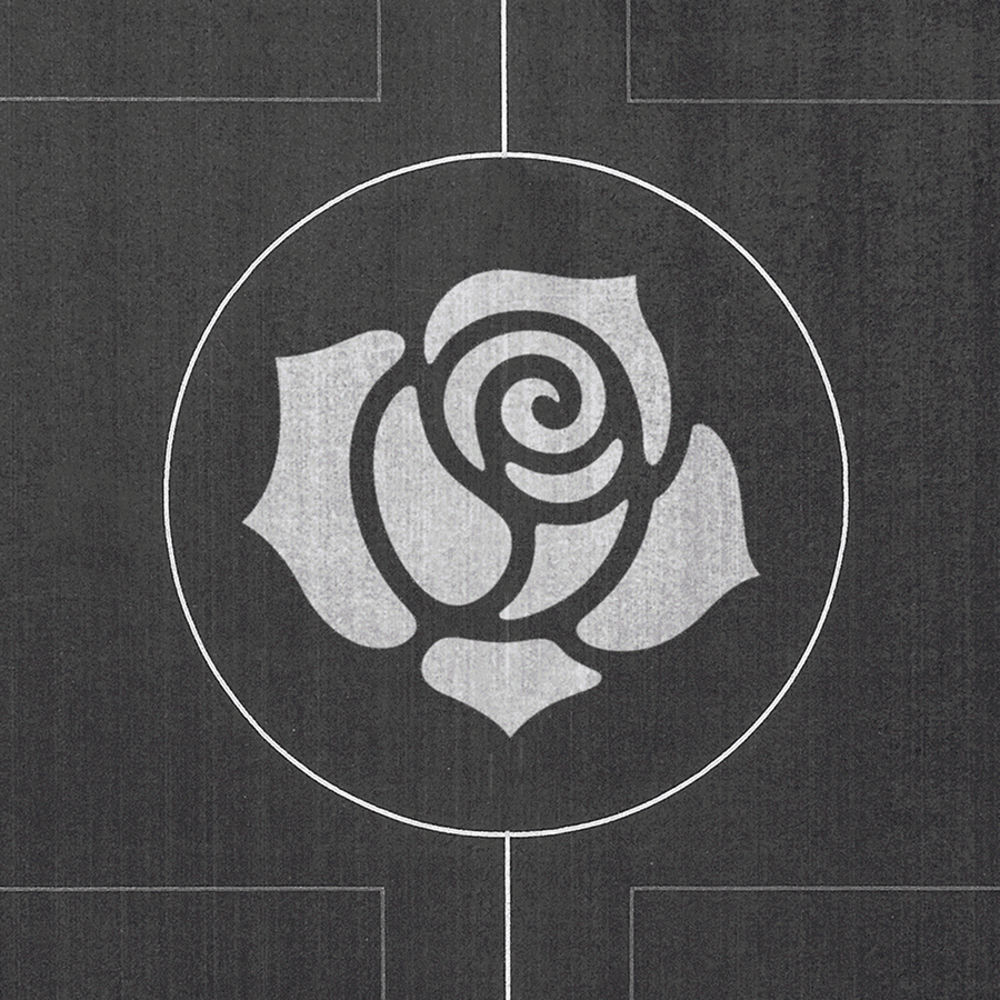 Roses Overview7