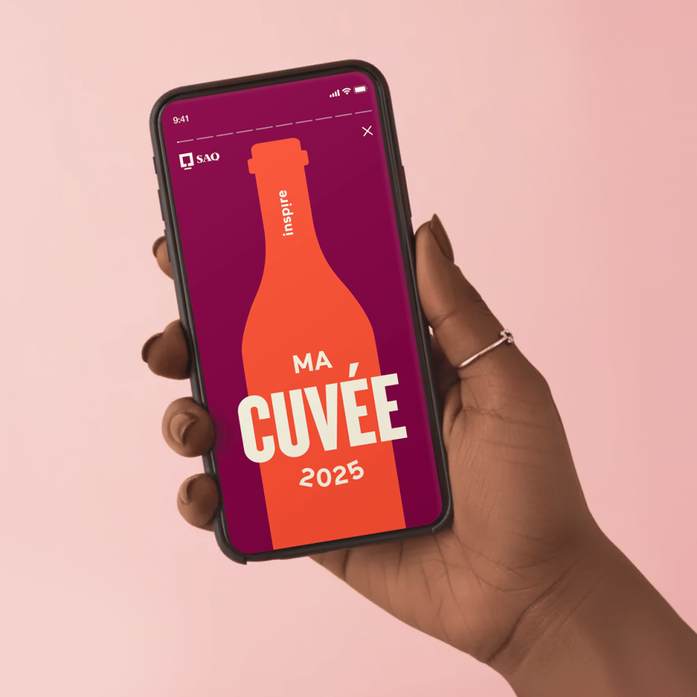 SAQ Milestone overview 1