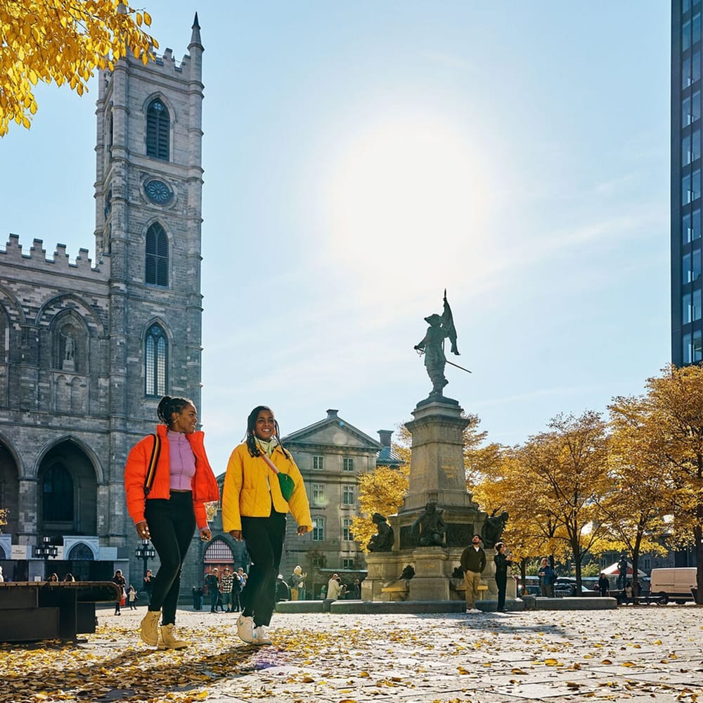 TM Refonte Overview3